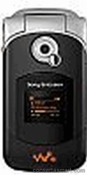 Touchscreen defekt Sony Ericsson W300i