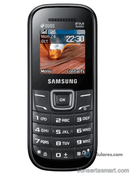 display branco listrado ou azul Samsung E1207T