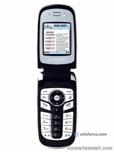 display branco listrado ou azul Samsung SGH-D730