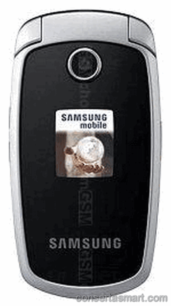 display branco listrado ou azul Samsung SGH-E790