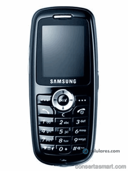 display branco listrado ou azul Samsung SGH-X620