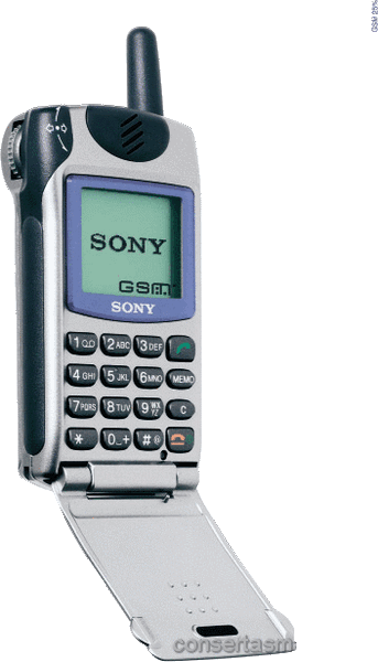 molhou Sony CMD Z5