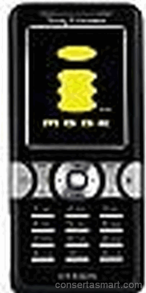 molhou Sony Ericsson K550im
