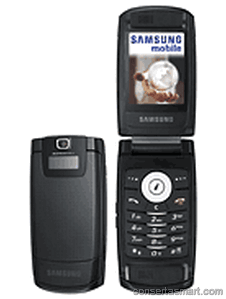 problema em aplicativo erros de software Samsung SGH-D830