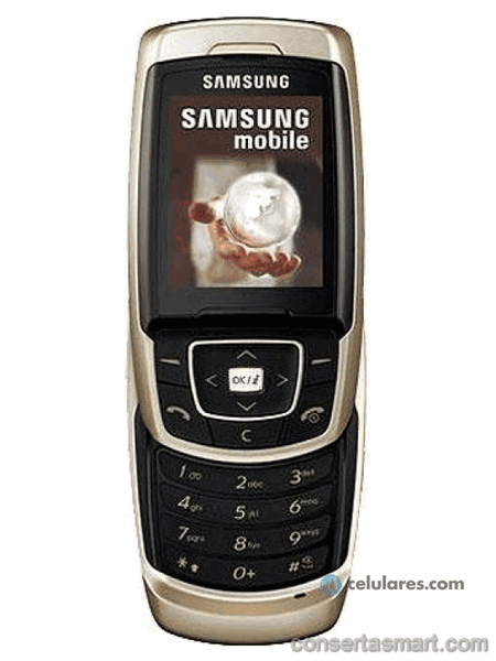 problema em aplicativo erros de software Samsung SGH-E830