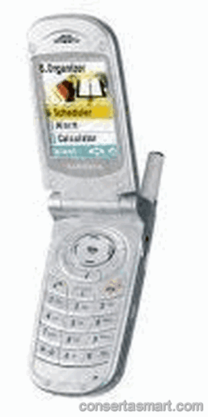 problema em aplicativo erros de software Samsung SGH-T200