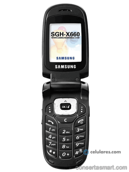 tela quebrada Samsung SGH-X660