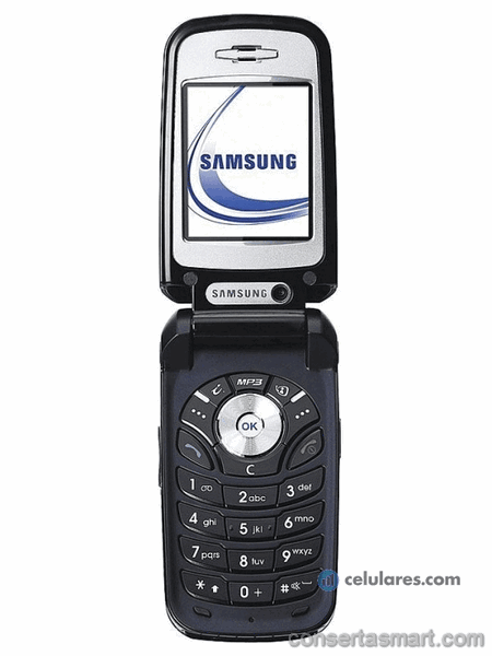 trocar tela Samsung SGH-Z310